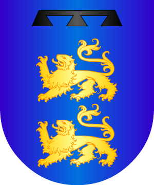 ESCUDO SIGUIENTE